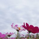 수잔나어린이집 이미지