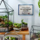 테라리움 - 유성구 유성대로 778 | 테라리움
