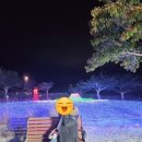 2346 | 제주도여행코스｜제주불빛정원 밤에 가기 좋은 곳 후기(+버스 이용 뚜벅이 여행, 막차정보)