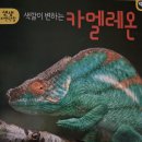 [독후활동] 사이언스데이 - 몸의 색 이미지