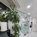 강남지웰타워2 | 강남편입학원 최고의 합격률이 증명하는 진짜 개별관리 경험담