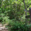 진밭골산림욕장 이미지