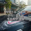 디팩토리 셀프세차 설문점 | 치약으로 자동차 관리? 잘못된 셀프복원 꿀팁