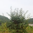 한길농원 이미지