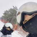 지정샘유치원 | [스키일기]웰리힐리 용성레포츠 렌탈, 1:3 스키강습 솔직 후기