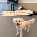 프렌즈도그 미용실 광주 서구점 | [광주애견호텔] 광주 쌍촌동 애견 호텔 프렌즈도그