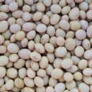 광명사거리역 이미지