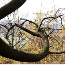 하오개길 이미지