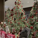 윈덤그랜드부산 | 부산 송도 호텔 윈덤그랜드부산 아이랑 호캉스 후기