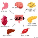 (주)무궁 | 무궁핏다이어트후기 내돈내산 부작용 솔직 경험담