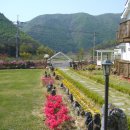 구동펜션 이미지