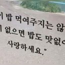 내맘처럼 이미지