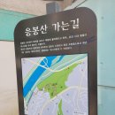 개나리 산(山) - 성동구 응봉산 알아보기 이미지