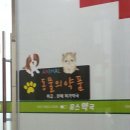 유스약국 이미지