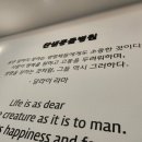 찬샘동물병원