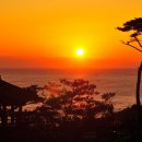 양양 파티 게스트하우스 낙산점 이미지