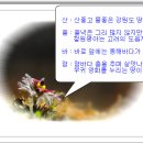 빨강풍차 이미지