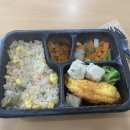 [내돈내산] 250g으로 양 많고 맛있는 다이어트 도시락 추천 원더그린 ‘밥심’ 솔직후기