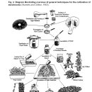 ★균주수집,배양,생산TECHNOLOGY OF MUSHROOM CULTIVATION 이미지