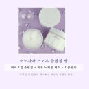 소노지아 이미지