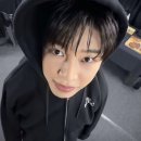 나비 77마리는 어떻게 되었을까요?! 이미지