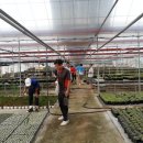 무석 농장 이미지