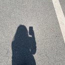 스시청담 이미지