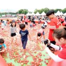 토마토온누리약국 이미지