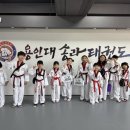 용인대송라태권도