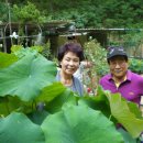 용상약국 이미지