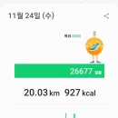 11월24일(수)인천 자유공원&월미공원을 다녀와서 (지기님 리딩) 이미지