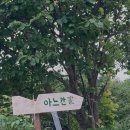 아느칸가