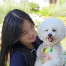 디어멍멍 이미지