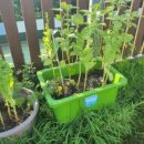 친환경우리농장 이미지