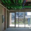 일산호수공원 가로수길 이미지