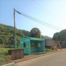 개랭이고들빼기마을 이미지