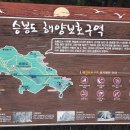 블루오션펜션 Daum카페