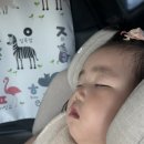동부대로 | 19개월 아기랑/남해 쏠비치 내돈내산 솔직후기