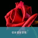 성요셉요양병원 | 광주시 서구 믿을 수 있는 요양원 추천 성요셉요양원 믿고 맡길 수 있는 곳