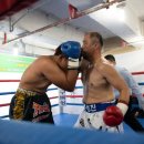 범진권투 이미지