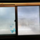 지우약품 이미지