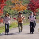 소풍 - 북구 화명동 | 소풍