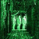 네오Brain 이미지