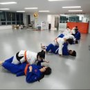 탄방유도관 이미지