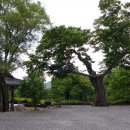 약목하이호스텔 이미지