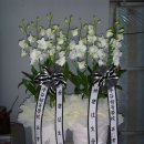 우곡초등학교 이미지