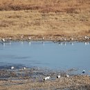 펀치볼민박 이미지