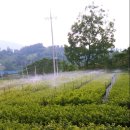 갈마농원 이미지