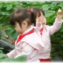 세은농장 이미지