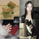 HS | 캐논 익서스 285 hs 후기 (디카 추천, 인물사진, 작례)